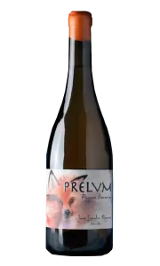 Prelvm Raposa Naranja