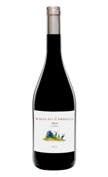 Vino ecológico Viñas del Cámbrico Villanueva 2016-2017