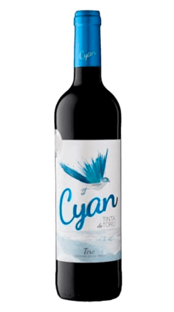 Cyan roble Cyanopica Tinta de Toro