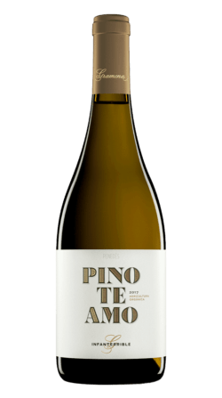 Botella del vino ecológico Gramona Pinoteamo