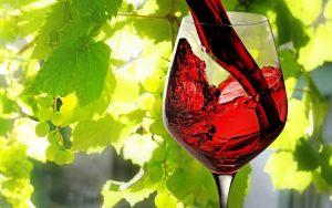 copa de vino tinto en viñedo