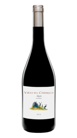 Vino ecológico Viñas del Cámbrico Villanueva 2016-2017